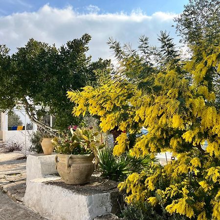 מלון אוסטוני Syconium Trullo And Lamia Gea Charme And History מראה חיצוני תמונה