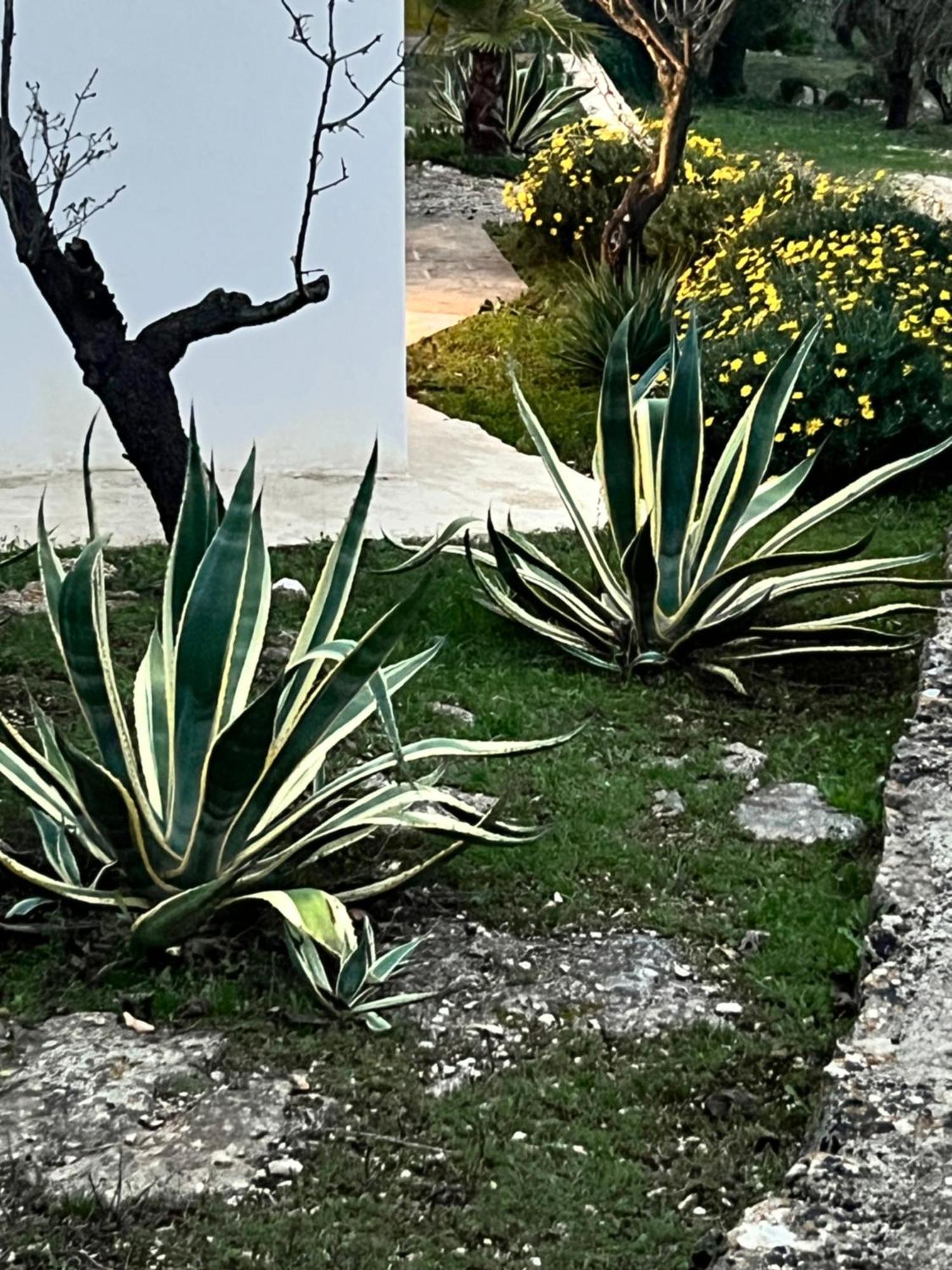 מלון אוסטוני Syconium Trullo And Lamia Gea Charme And History מראה חיצוני תמונה