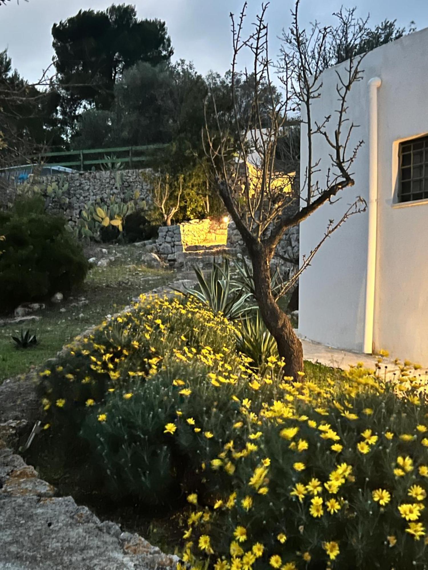 מלון אוסטוני Syconium Trullo And Lamia Gea Charme And History מראה חיצוני תמונה
