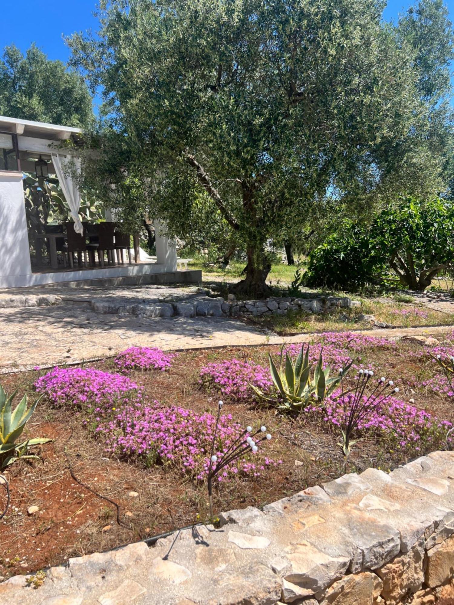 מלון אוסטוני Syconium Trullo And Lamia Gea Charme And History מראה חיצוני תמונה